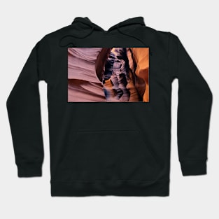 850_3733 Hoodie